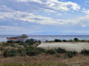 Boats with grass and sea